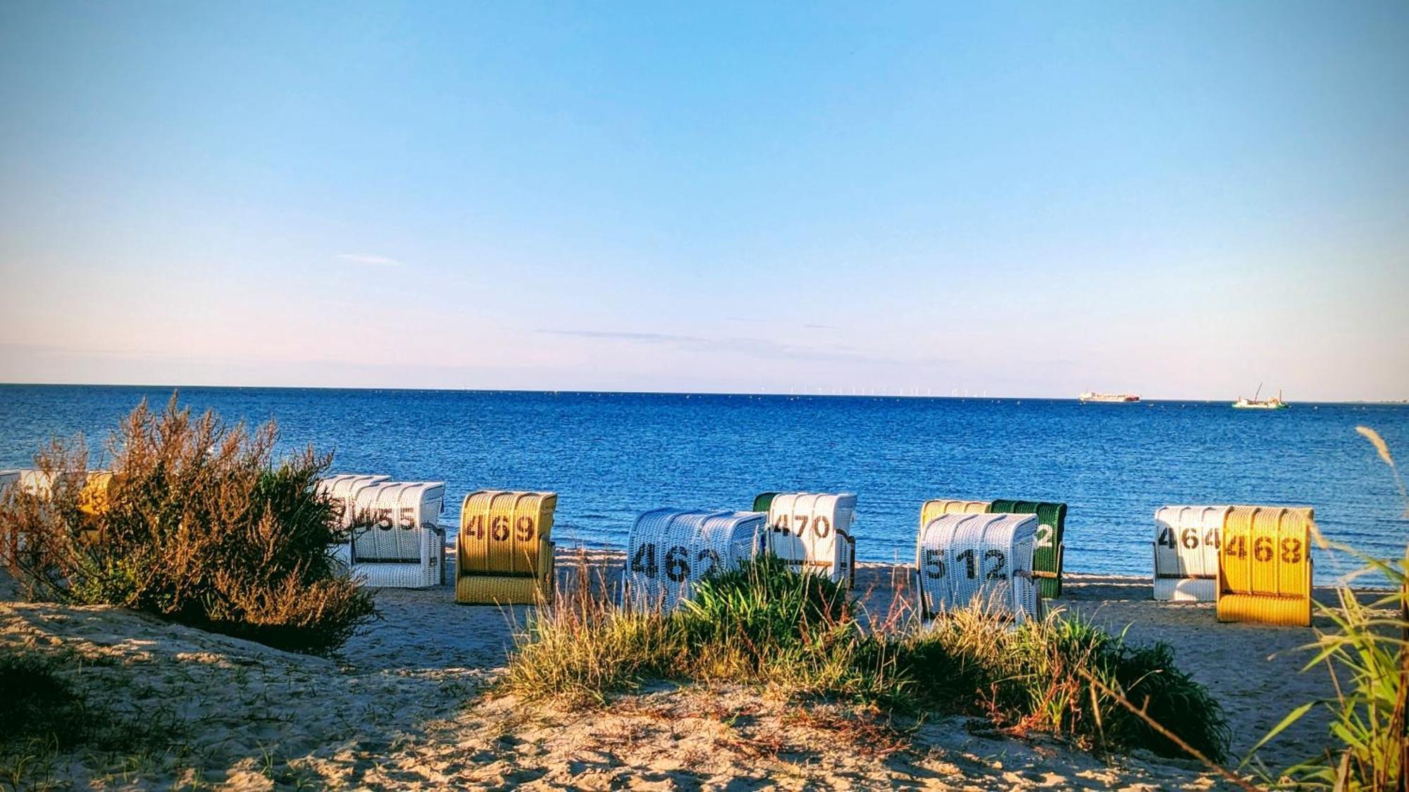 Nordsee Ferienwohnung Nord Дорнумерзил Екстериор снимка